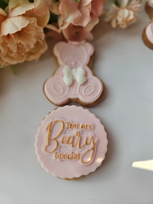 You Are Beary Special Box