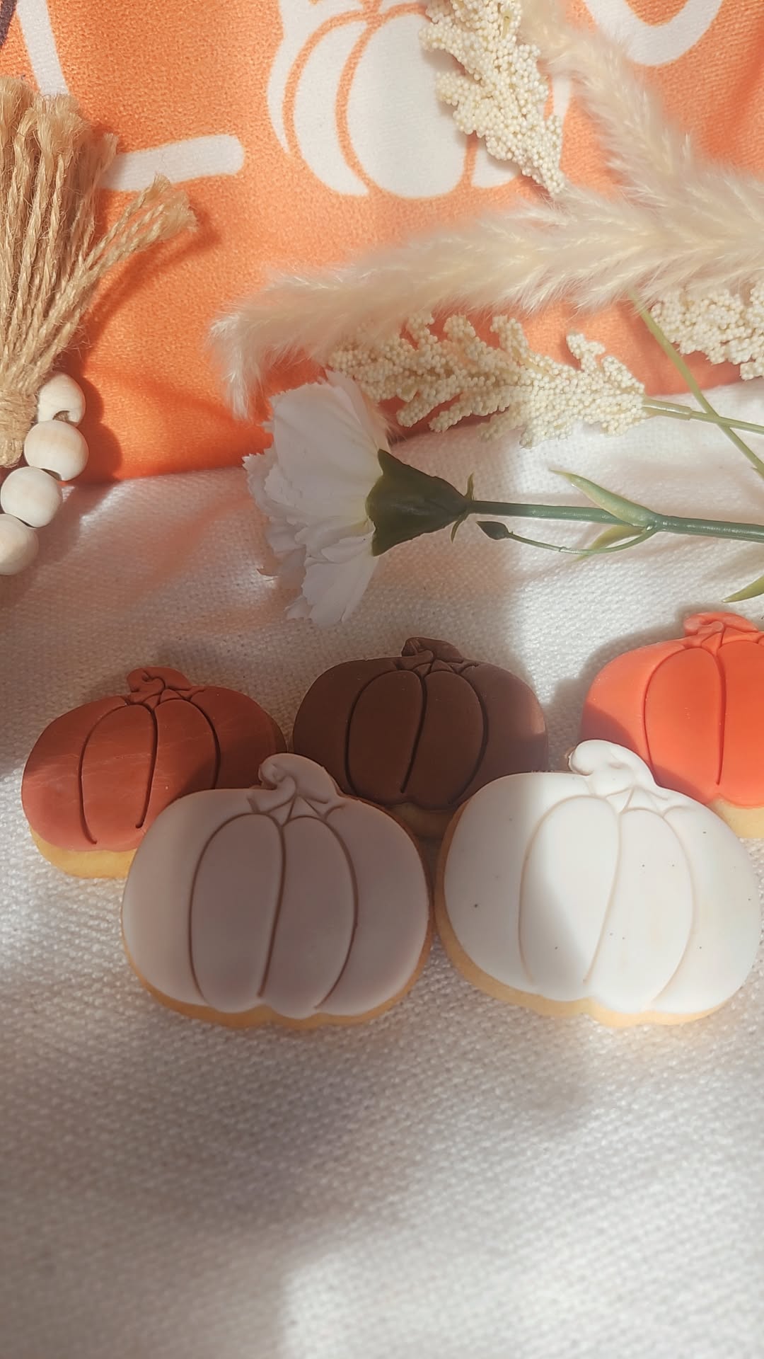 Pumpkin Patch Fall Cookie Box